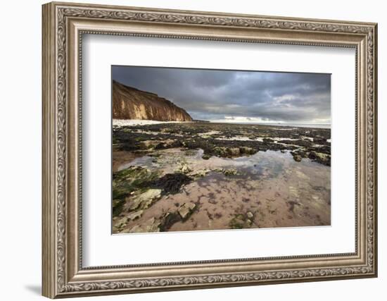 Toward Flamborough Head from Sewerby Rocks, Bridlington, East Riding of Yorkshire, England, UK-Mark Sunderland-Framed Photographic Print