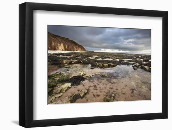 Toward Flamborough Head from Sewerby Rocks, Bridlington, East Riding of Yorkshire, England, UK-Mark Sunderland-Framed Photographic Print