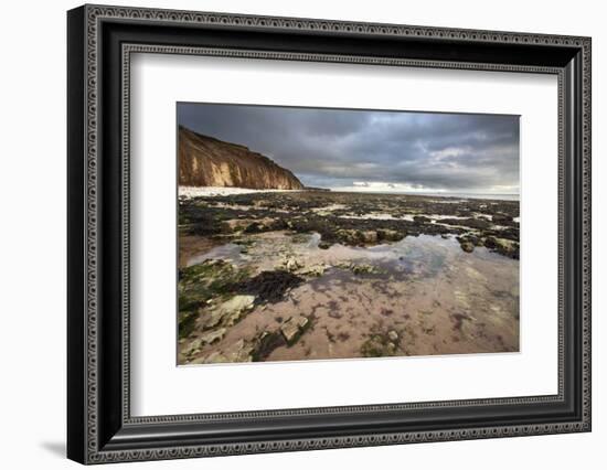 Toward Flamborough Head from Sewerby Rocks, Bridlington, East Riding of Yorkshire, England, UK-Mark Sunderland-Framed Photographic Print