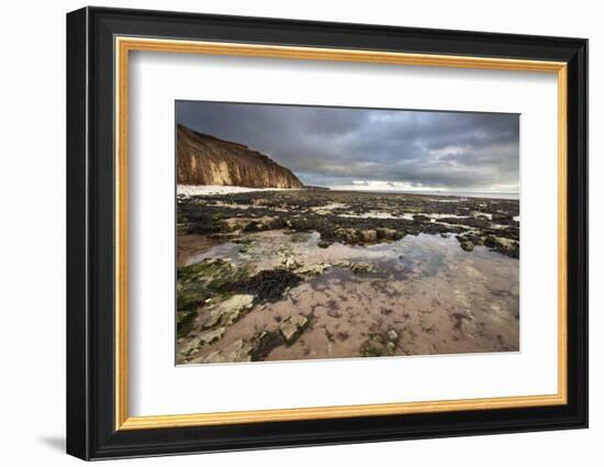 Toward Flamborough Head from Sewerby Rocks, Bridlington, East Riding of Yorkshire, England, UK-Mark Sunderland-Framed Photographic Print