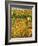 Towards Autumn-Mandy Budan-Framed Giclee Print