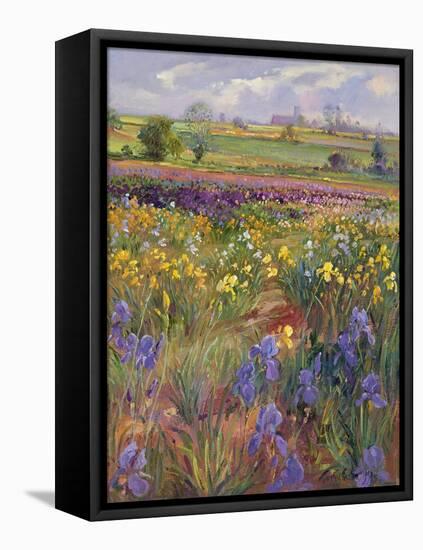 Towards Burgate Church-Timothy Easton-Framed Premier Image Canvas