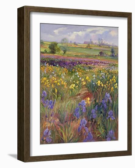 Towards Burgate Church-Timothy Easton-Framed Giclee Print