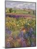 Towards Burgate Church-Timothy Easton-Mounted Giclee Print