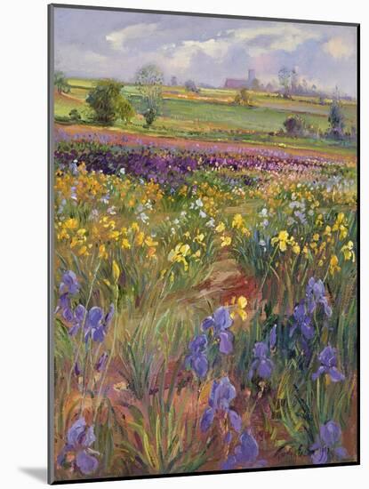 Towards Burgate Church-Timothy Easton-Mounted Giclee Print