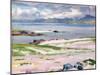 Towards Mull from Choc Ard Anraidh, Iona, C.1928-Francis Campbell Boileau Cadell-Mounted Giclee Print