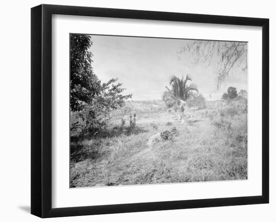 Towards Santiago De Cuba from San Juan Hill-null-Framed Photo