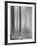 Towards The Light B&W-Andreas Stridsberg-Framed Giclee Print