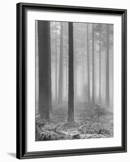 Towards The Light B&W-Andreas Stridsberg-Framed Giclee Print