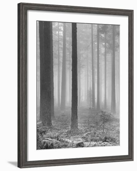 Towards The Light B&W-Andreas Stridsberg-Framed Giclee Print