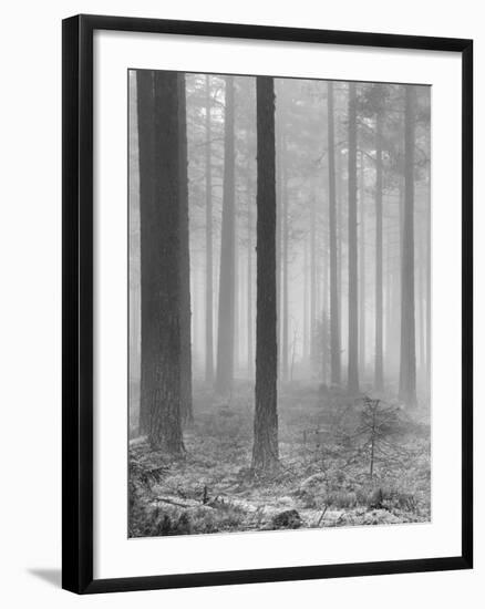 Towards The Light B&W-Andreas Stridsberg-Framed Giclee Print