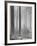 Towards The Light B&W-Andreas Stridsberg-Framed Giclee Print
