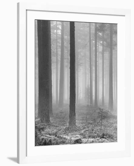 Towards The Light B&W-Andreas Stridsberg-Framed Giclee Print