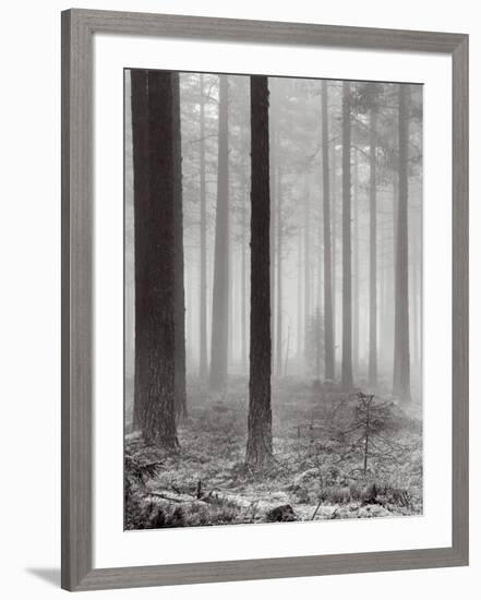 Towards The Light B&W-Andreas Stridsberg-Framed Art Print