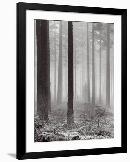 Towards The Light B&W-Andreas Stridsberg-Framed Art Print