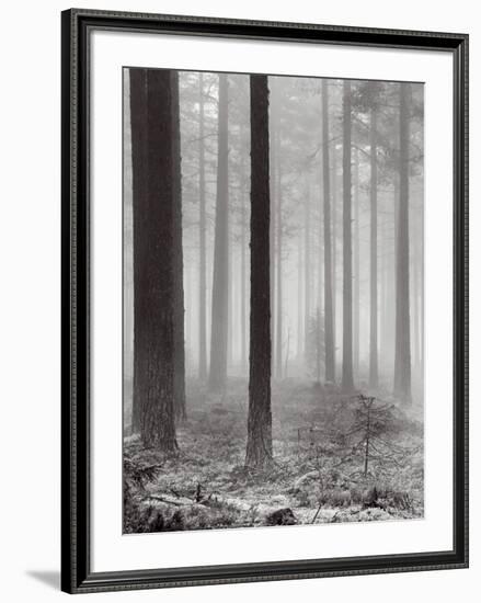 Towards The Light B&W-Andreas Stridsberg-Framed Art Print