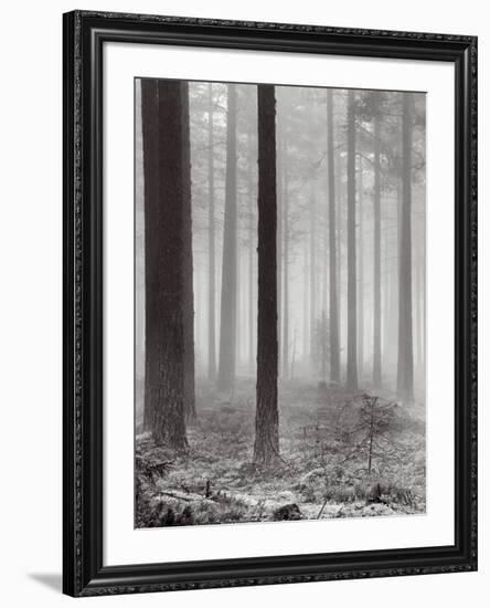 Towards The Light B&W-Andreas Stridsberg-Framed Art Print