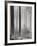 Towards The Light B&W-Andreas Stridsberg-Framed Art Print