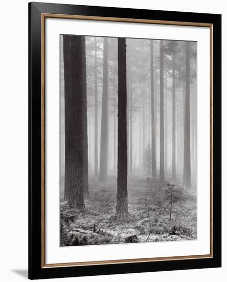 Towards The Light B&W-Andreas Stridsberg-Framed Art Print