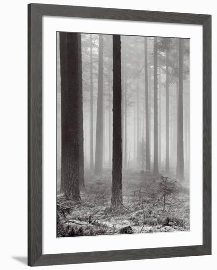 Towards The Light B&W-Andreas Stridsberg-Framed Art Print