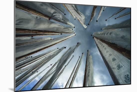 Towards the Sky-Andrew Geiger-Mounted Giclee Print