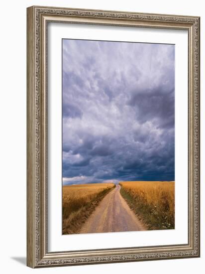 Towards the Storm-Norbert Maier-Framed Giclee Print