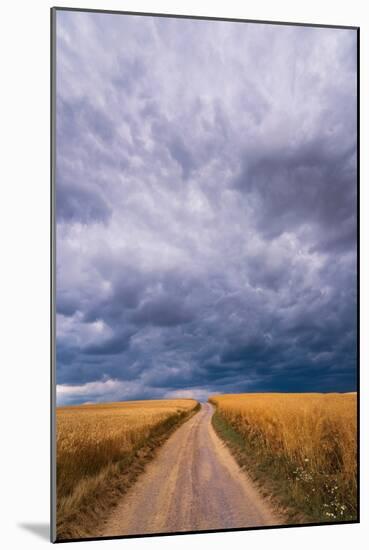 Towards the Storm-Norbert Maier-Mounted Giclee Print