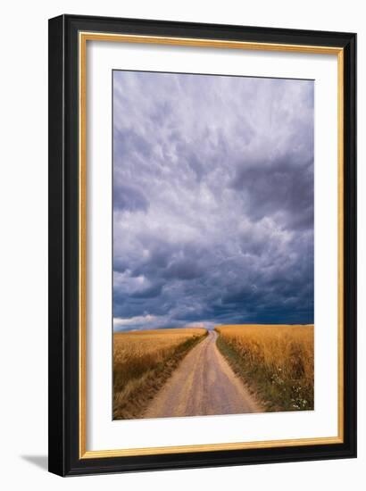 Towards the Storm-Norbert Maier-Framed Giclee Print