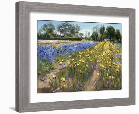 Towards the White Barn, 1996 (Oil on Canvas)-Timothy Easton-Framed Giclee Print