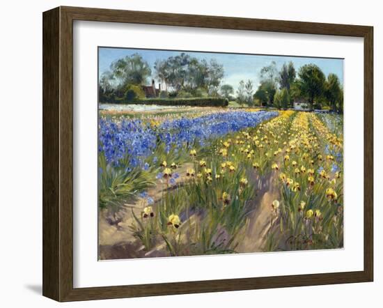 Towards the White Barn, 1996 (Oil on Canvas)-Timothy Easton-Framed Giclee Print