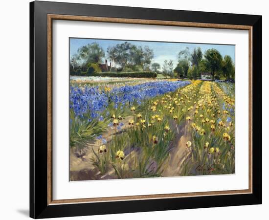 Towards the White Barn, 1996 (Oil on Canvas)-Timothy Easton-Framed Giclee Print