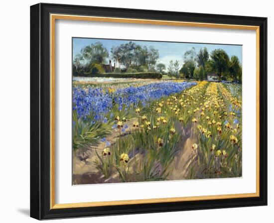 Towards the White Barn, 1996 (Oil on Canvas)-Timothy Easton-Framed Giclee Print