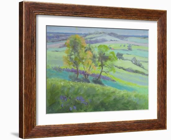 Towards Winchelsea, Sussex, with Bluebells in Spring-Anne Durham-Framed Giclee Print