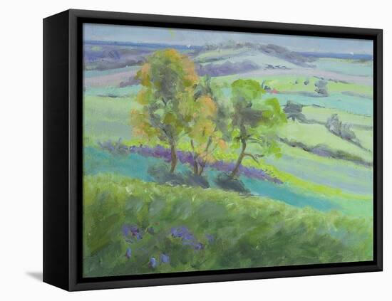 Towards Winchelsea, Sussex, with Bluebells in Spring-Anne Durham-Framed Premier Image Canvas