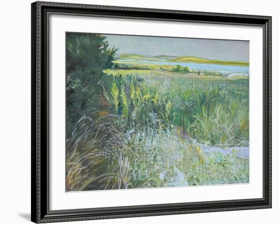 Towards Youghal, Ballymacoda-John Erskine-Framed Giclee Print