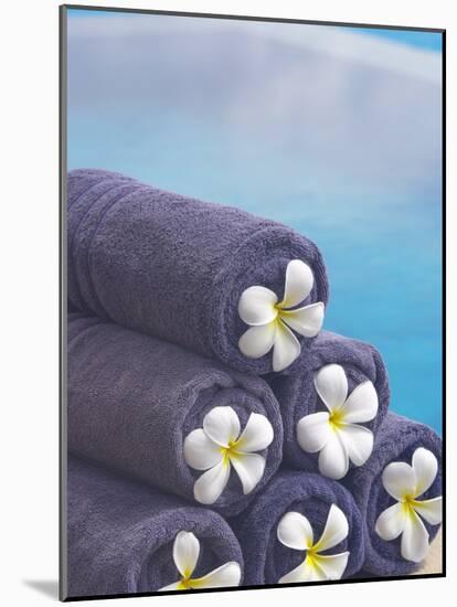 Towels on the Swimming Pool, Maldives, Indian Ocean-Papadopoulos Sakis-Mounted Photographic Print
