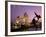 Tower Bridge and Girl with a Dolphin Fountain Statue at Dusk, London, England-Michele Falzone-Framed Photographic Print