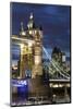 Tower Bridge and the Financial District at Night, London, England, United Kingdom, Europe-Miles Ertman-Mounted Photographic Print