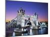 Tower Bridge, London, England-Steve Vidler-Mounted Photographic Print
