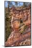 Tower Bridge Rock Formation, Bryce Canyon National Park, Utah-Michael DeFreitas-Mounted Photographic Print