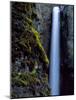 Tower Falls and Mossy Canyon Wall, Yellowstone National Park, Wyoming, Usa-Scott T. Smith-Mounted Photographic Print
