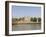 Tower of London, UNESCO World Heritage Site, London, England, United Kingdom, Europe-Amanda Hall-Framed Photographic Print