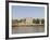 Tower of London, UNESCO World Heritage Site, London, England, United Kingdom, Europe-Amanda Hall-Framed Photographic Print