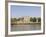 Tower of London, UNESCO World Heritage Site, London, England, United Kingdom, Europe-Amanda Hall-Framed Photographic Print