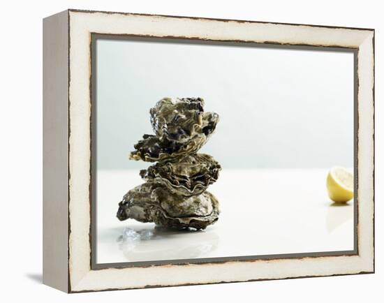 Tower of Oysters-Clinton Hussey-Framed Premier Image Canvas