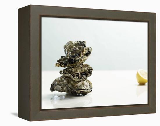 Tower of Oysters-Clinton Hussey-Framed Premier Image Canvas