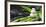 Tower of Stoneson Bamboo-Uwe Merkel-Framed Photographic Print