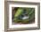 Tower of Stoneson Green Leaves-Uwe Merkel-Framed Photographic Print