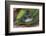 Tower of Stoneson Green Leaves-Uwe Merkel-Framed Photographic Print