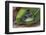 Tower of Stoneson Green Leaves-Uwe Merkel-Framed Photographic Print